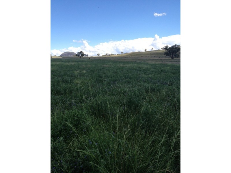 3019 Wyuna Road, Mullaley NSW 2379