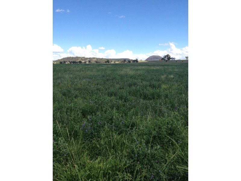 3019 Wyuna Road, Mullaley NSW 2379