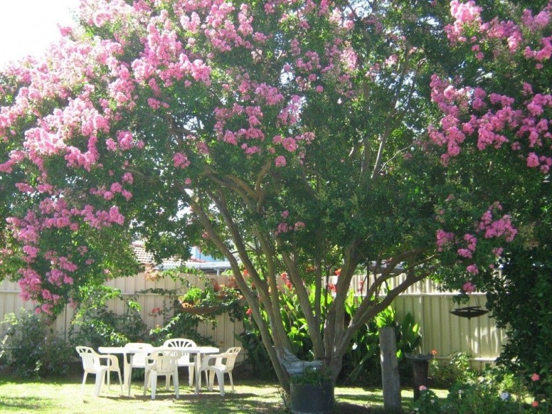 59 Hunter Street, Gunnedah NSW 2380