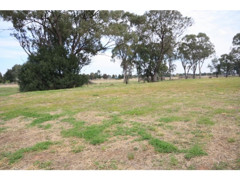 326 Kaputar Road, Narrabri NSW 2390