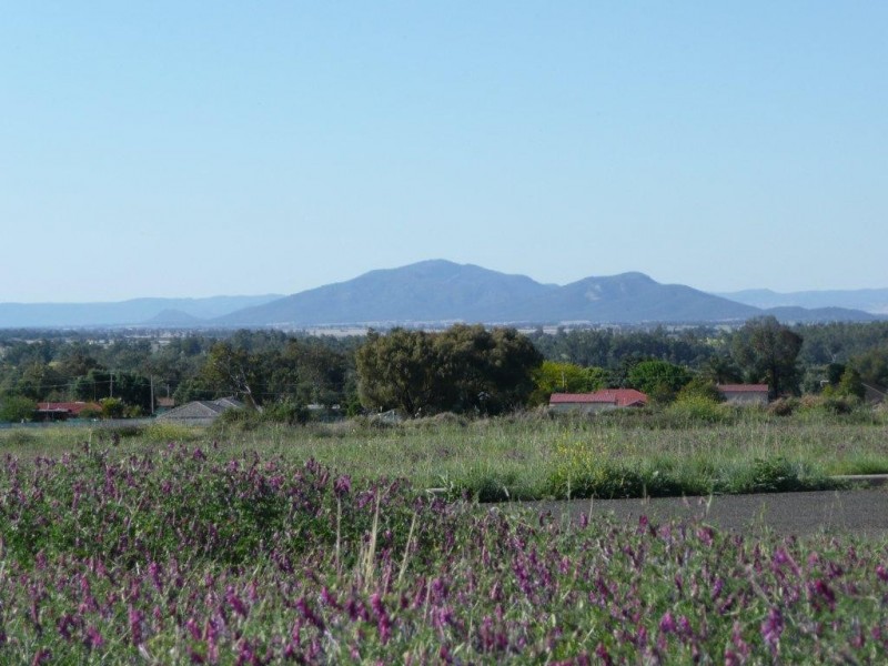 22-24 Silversmith Place, Gunnedah NSW 2380