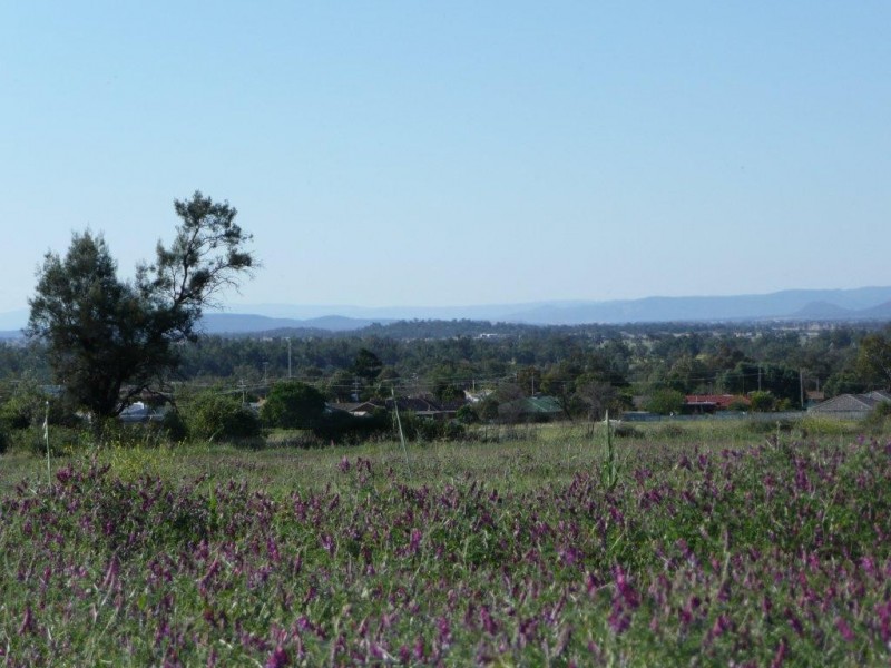 22-24 Silversmith Place, Gunnedah NSW 2380