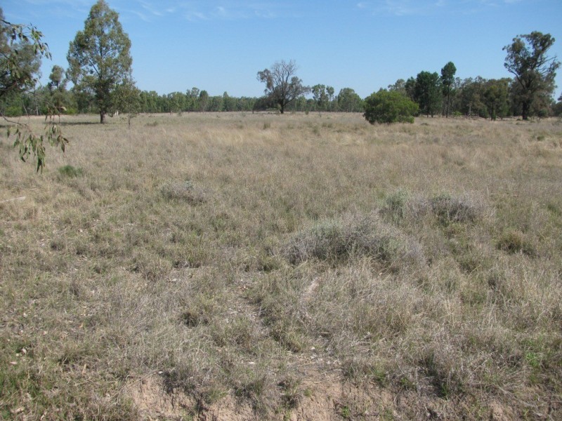 43 Werah Creek Road, Wee Waa NSW 2388