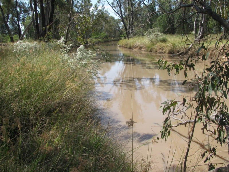 43 Werah Creek Road, Wee Waa NSW 2388