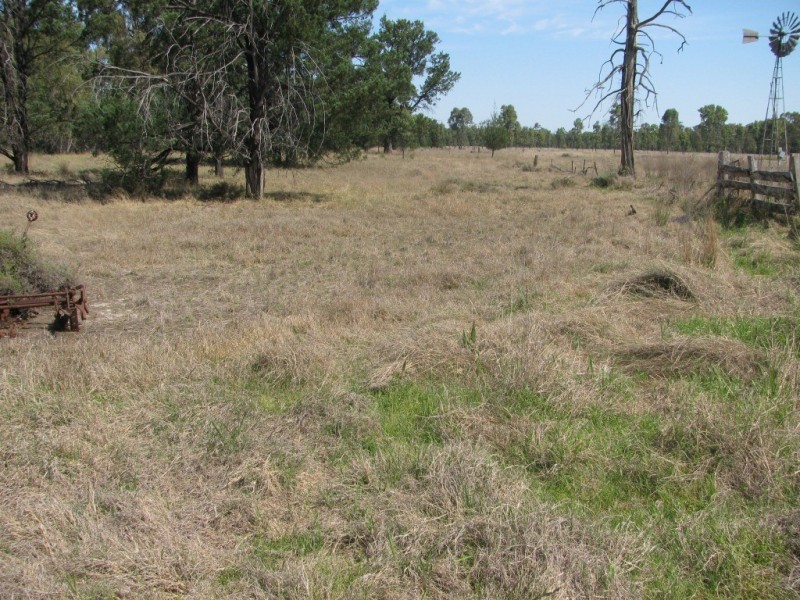 43 Werah Creek Road, Wee Waa NSW 2388