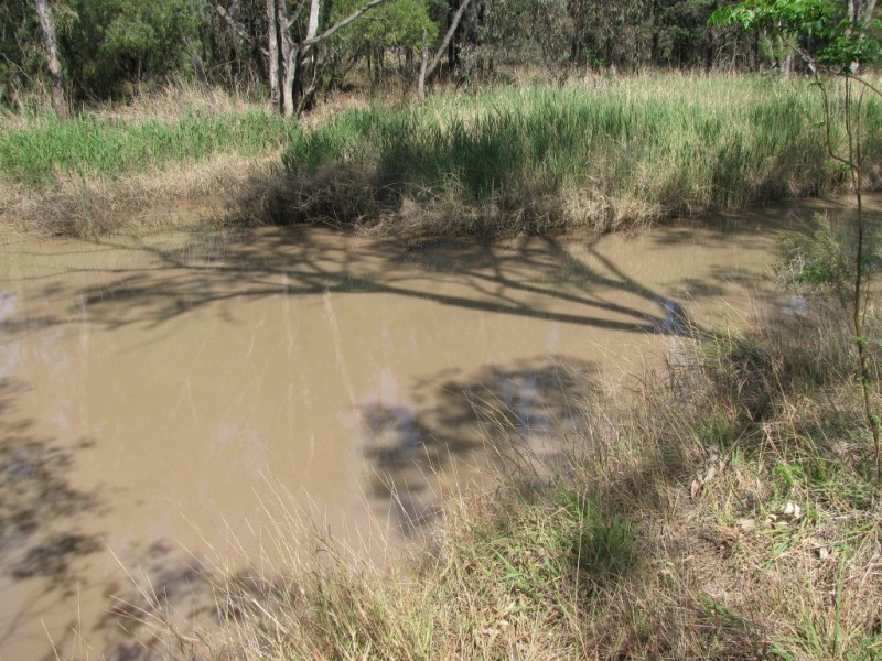 43 Werah Creek Road, Wee Waa NSW 2388