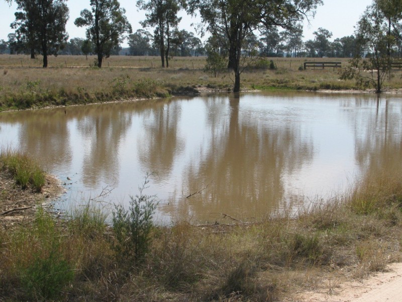 43 Werah Creek Road, Wee Waa NSW 2388