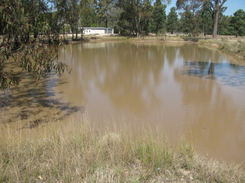 43 Werah Creek Road, Wee Waa NSW 2388