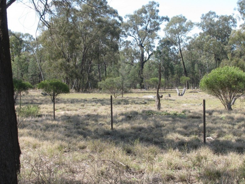 43 Werah Creek Road, Wee Waa NSW 2388