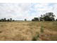 294 Kaputar Road, Narrabri NSW 2390