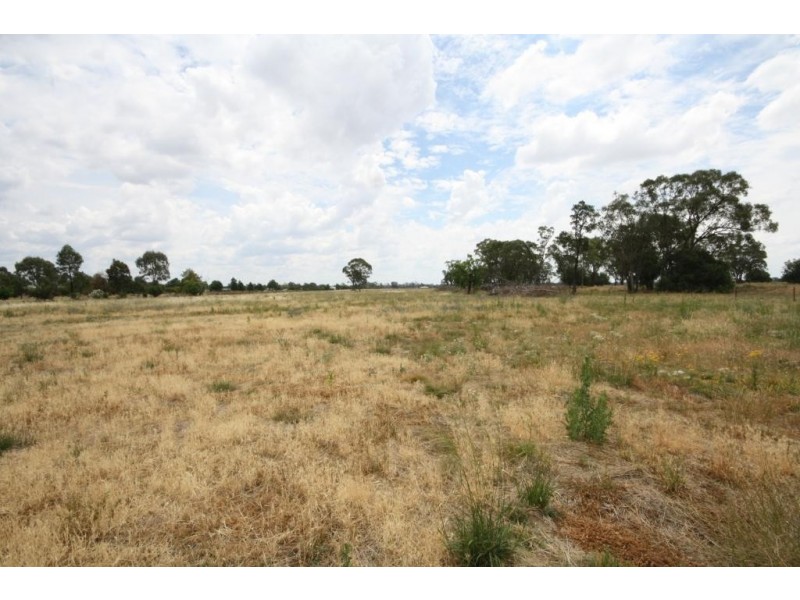 294 Kaputar Road, Narrabri NSW 2390