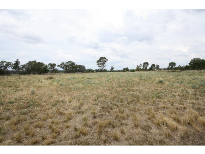 294 Kaputar Road, Narrabri NSW 2390