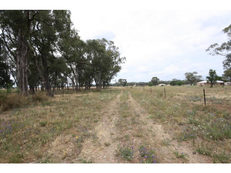 294 Kaputar Road, Narrabri NSW 2390