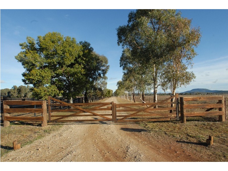 Kataluka Shanley Lane, Gunnedah NSW 2380