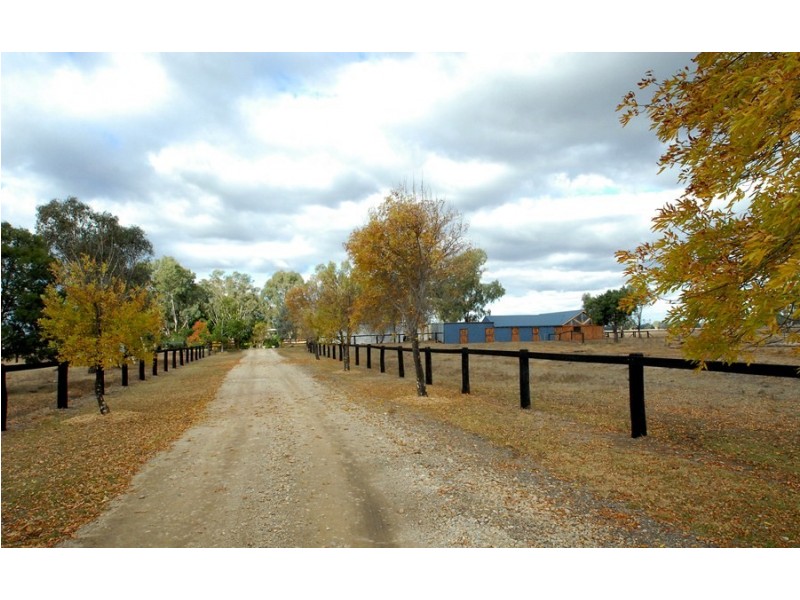 Kataluka Shanley Lane, Gunnedah NSW 2380