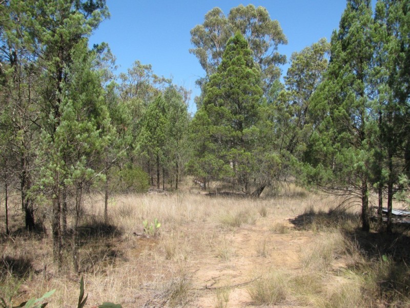 1401 Killarney Gap Road, Narrabri NSW 2390