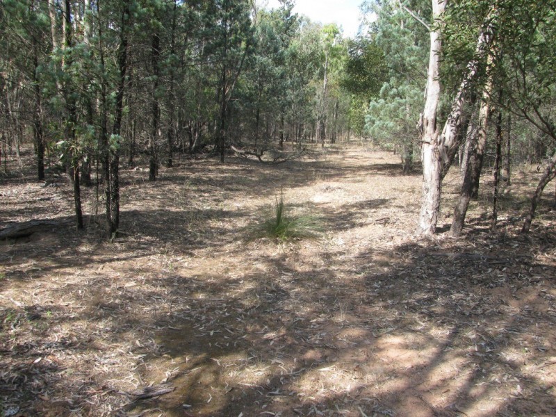 1401 Killarney Gap Road, Narrabri NSW 2390