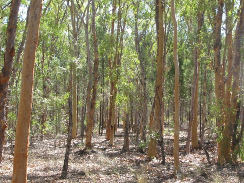 1401 Killarney Gap Road, Narrabri NSW 2390