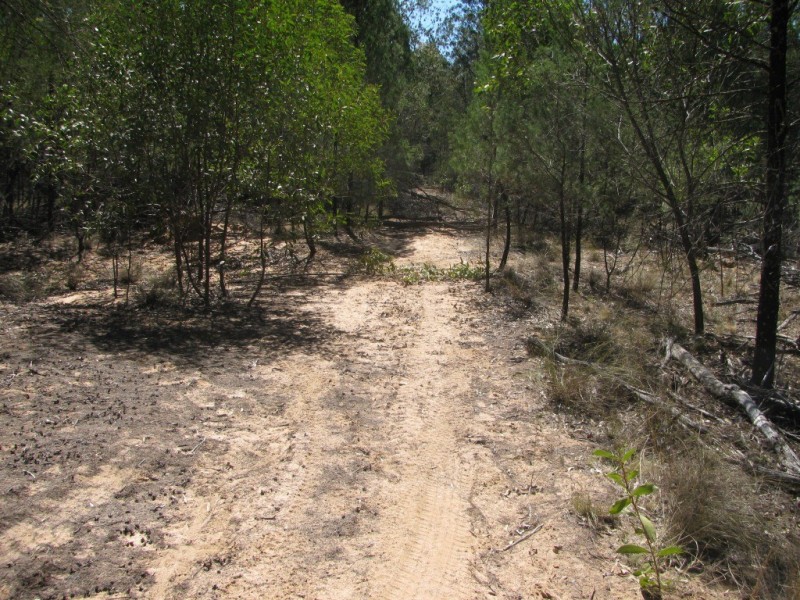 1401 Killarney Gap Road, Narrabri NSW 2390