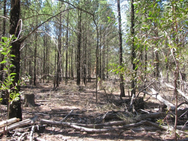 1401 Killarney Gap Road, Narrabri NSW 2390