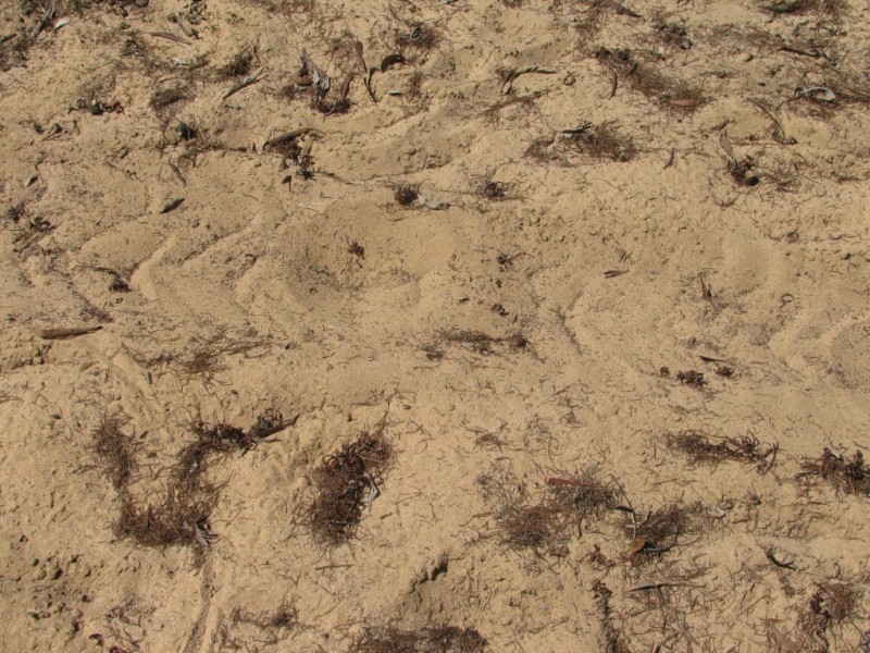 1401 Killarney Gap Road, Narrabri NSW 2390