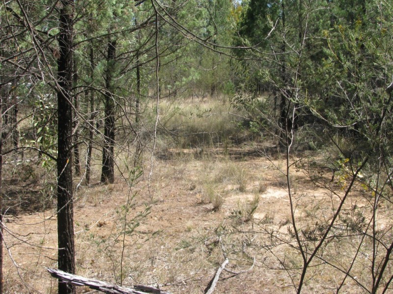 1401 Killarney Gap Road, Narrabri NSW 2390