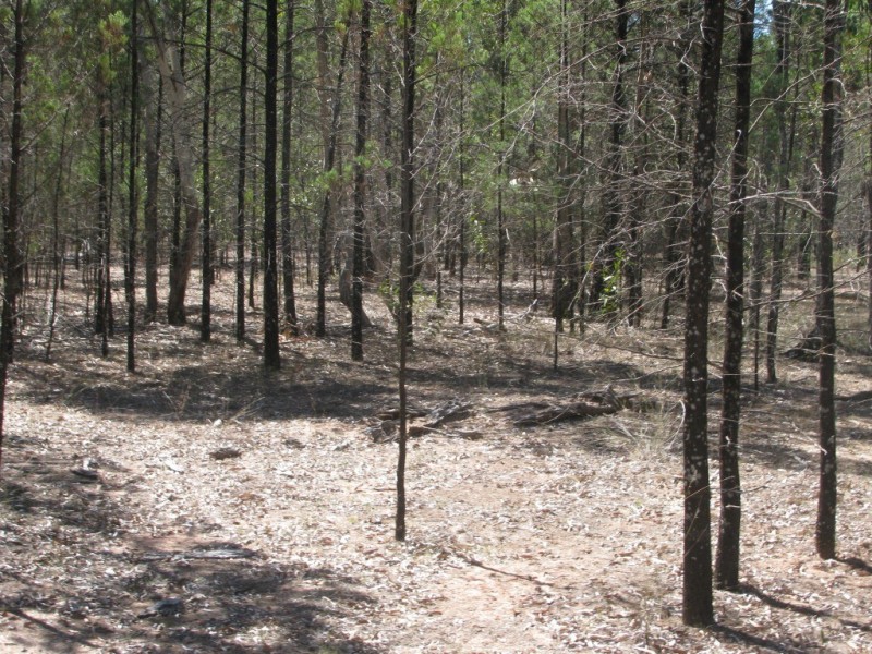 1401 Killarney Gap Road, Narrabri NSW 2390