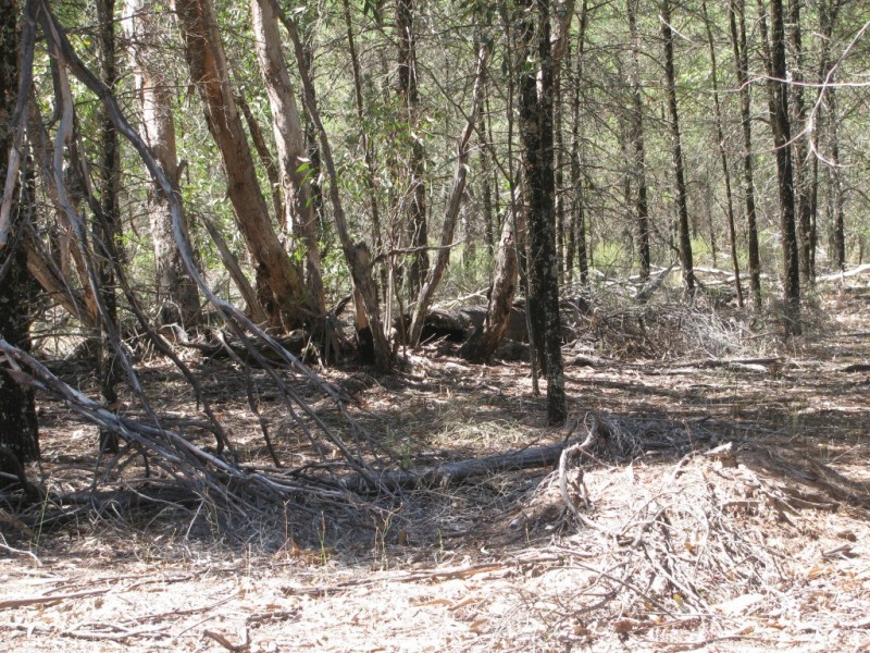 1401 Killarney Gap Road, Narrabri NSW 2390