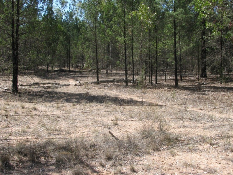 1401 Killarney Gap Road, Narrabri NSW 2390