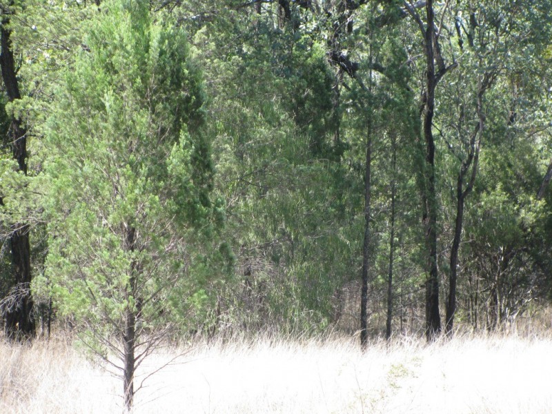 1401 Killarney Gap Road, Narrabri NSW 2390