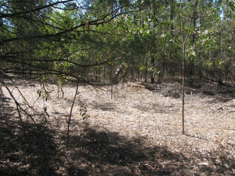 1401 Killarney Gap Road, Narrabri NSW 2390