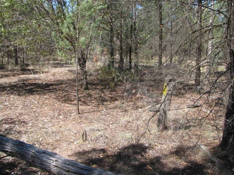 1401 Killarney Gap Road, Narrabri NSW 2390