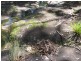 3940 Killarney Gap Road, Narrabri NSW 2390