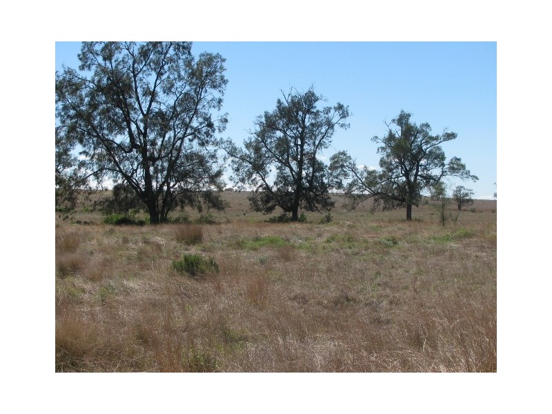 615 Caloola Road, Boggabri NSW 2382