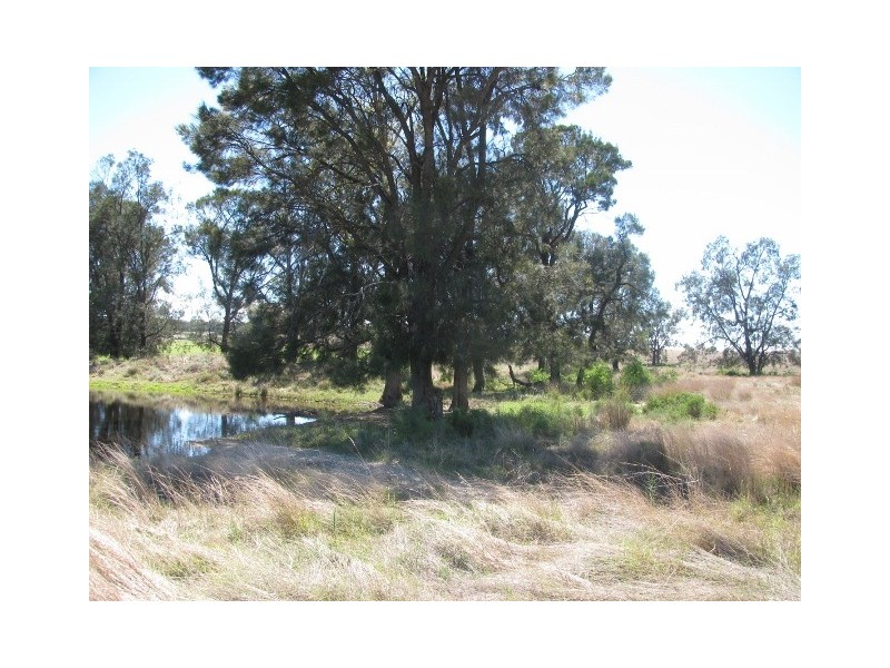 615 Caloola Road, Boggabri NSW 2382