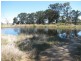 615 Caloola Road, Boggabri NSW 2382
