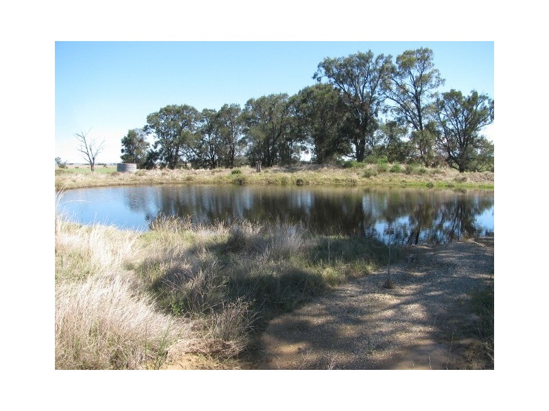615 Caloola Road, Boggabri NSW 2382