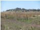 615 Caloola Road, Boggabri NSW 2382