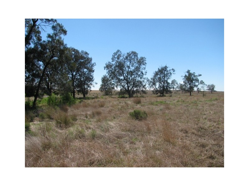 615 Caloola Road, Boggabri NSW 2382