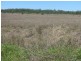 615 Caloola Road, Boggabri NSW 2382
