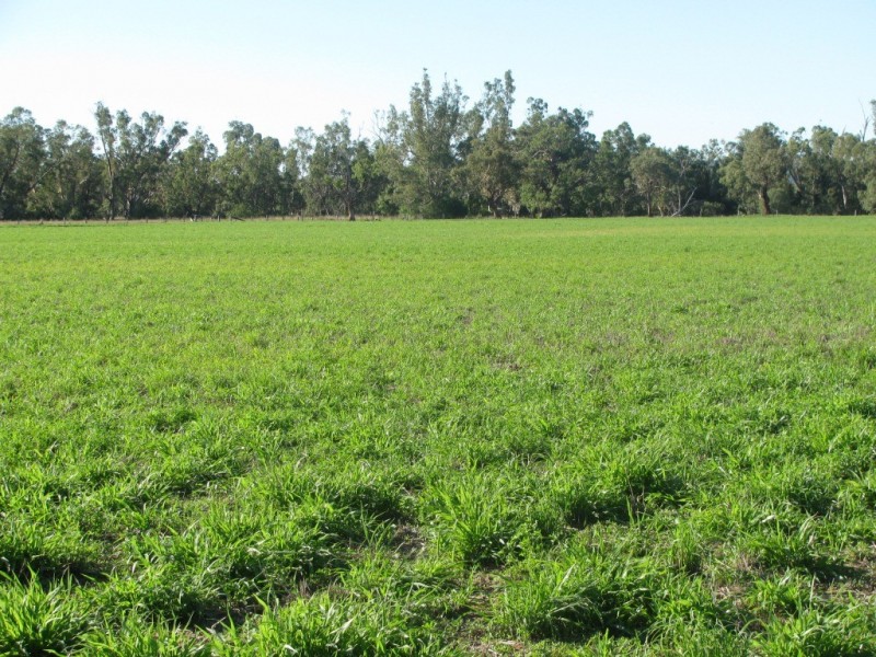 1688 Harparary Road, Boggabri NSW 2382