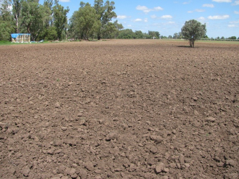 1688 Harparary Road, Boggabri NSW 2382