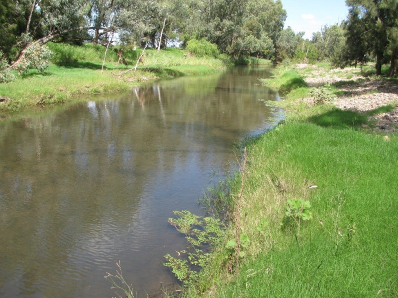 1688 Harparary Road, Boggabri NSW 2382