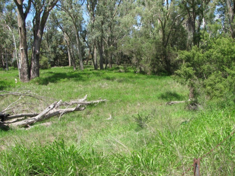 1688 Harparary Road, Boggabri NSW 2382