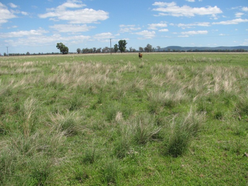 1688 Harparary Road, Boggabri NSW 2382