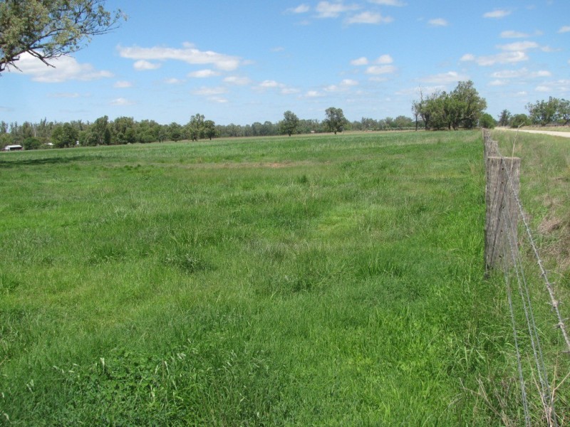 1688 Harparary Road, Boggabri NSW 2382