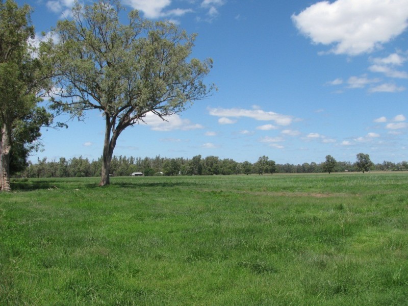 1688 Harparary Road, Boggabri NSW 2382