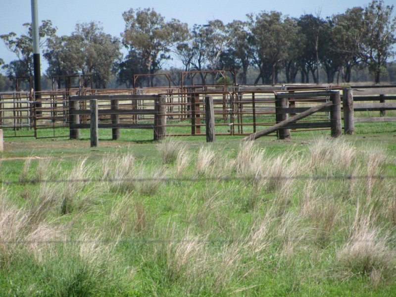 1688 Harparary Road, Boggabri NSW 2382