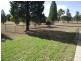 19 Booloocooroo Rd, Gunnedah NSW 2380