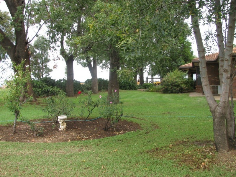 2829 Culgoora Road, Wee Waa NSW 2388